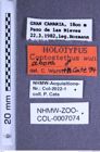 Etiketten zu Coptostethus abora (Wurst & Cate, 1994) (NHMW-ZOO-COL-0007074)